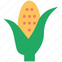 agriculture, corn, ecology, food, kernel, maize, plant