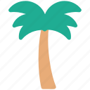 arecaceae, date palm, date tree, palm, palm tree, tree