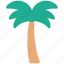 arecaceae, date palm, date tree, palm, palm tree, tree 