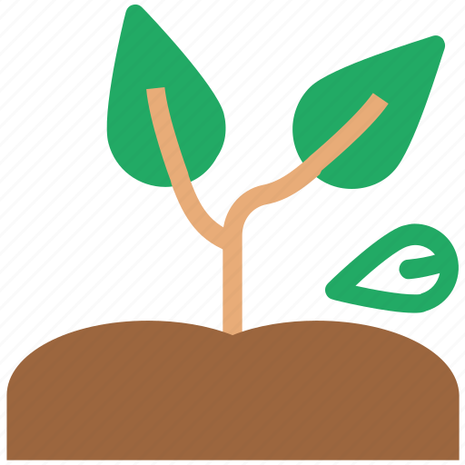 Agricultural, ecology, green plants, plant, plantae icon - Download on Iconfinder
