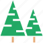 christmas tree, eco tree, ecology, evergreen, fir, fir tree, spruce 