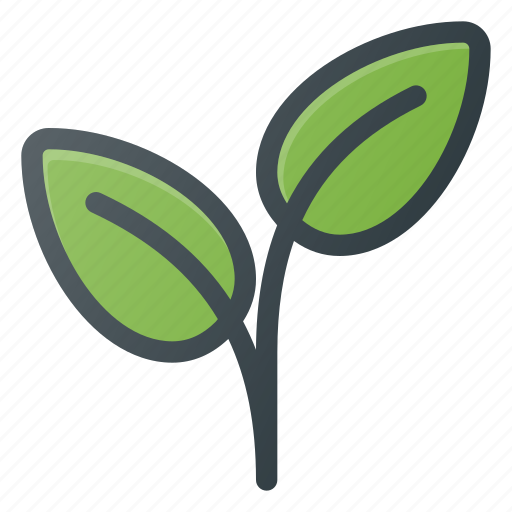 Bio, eco, leaf, leafs, nature icon - Download on Iconfinder