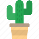 cactus, nature, plant, pot, succulent, icon