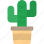 cactus, nature, plant, pot, succulent, icon 