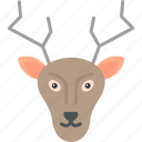 deer, animal, christmas, rudolf, icon