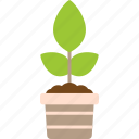 plant, decoration, garden, leaf, plants, pot, potted, icon