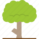tree, ecology, forest, nature, icon
