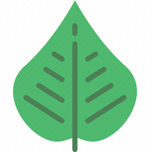 Leaf, nature, summer icon - Download on Iconfinder