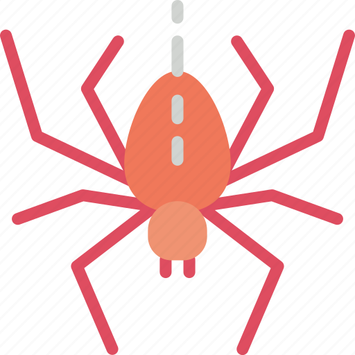 Nature, spider, summer icon - Download on Iconfinder