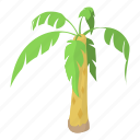 beach, cartoon, coconut, exotic, logo, object, palm