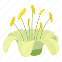 beautifulflower, botanical, botany, cartoon, d374, logo, object