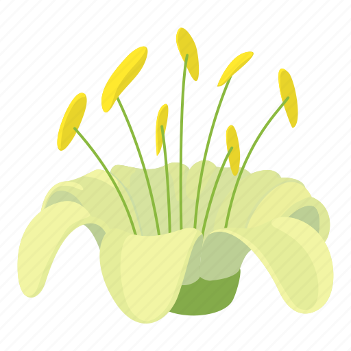 Beautifulflower, botanical, botany, cartoon, d374, logo, object icon - Download on Iconfinder