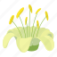 beautifulflower, botanical, botany, cartoon, d374, logo, object 