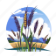 wheat, plants, landscape, scenery, view, nature 