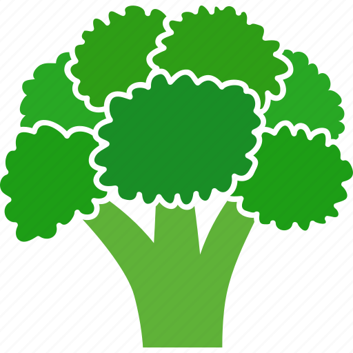 Brassica, broccoli, cabbage, food, green, oleracea, vegetable icon - Download on Iconfinder