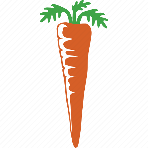 Carrot, farming, healthy, organic, taproot, vegetable, vegetarian icon - Download on Iconfinder
