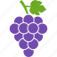 berries, grape, grapes, leaf, purple, wine, vineyard 