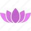buddhism, flower, lotus, nelumbo, nucifera, purple, sacred 