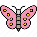 butterfly, animal, bug, ecology, icon