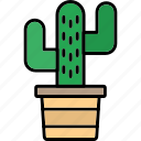 cactus, nature, plant, pot, succulent, icon