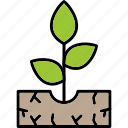 sprout, farming, growth, seedling, icon