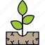 sprout, farming, growth, seedling, icon 