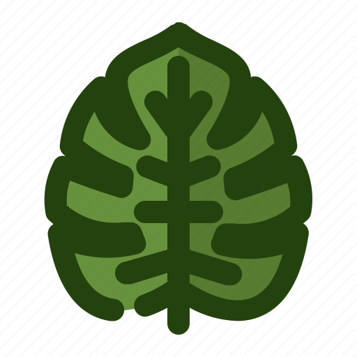 Garden, leaf, philodendron, plant, tropical icon - Download on Iconfinder