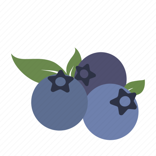 Berries, blueberries, dessert, farm, fruit, health, smoothie icon - Download on Iconfinder
