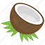 coconut, coconut fruit, coconut shell, half coconut, tropical fruit 