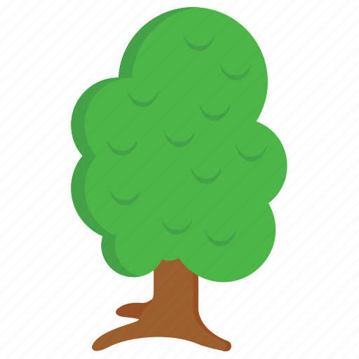 Elm tree, forest, nature, plant, tree icon - Download on Iconfinder