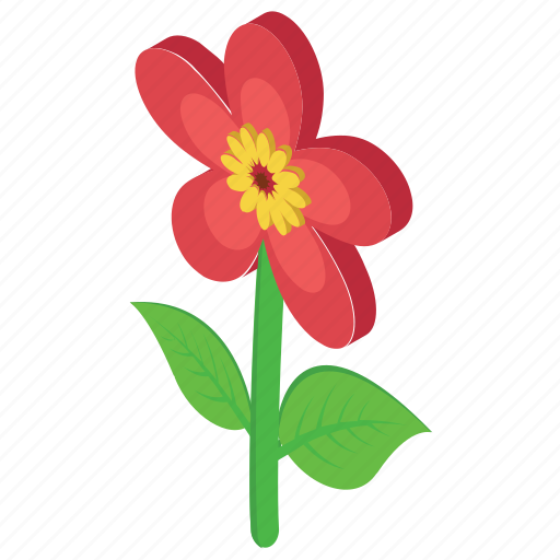 Daisy, floral design, flower, nature, outdoor plant icon - Download on Iconfinder