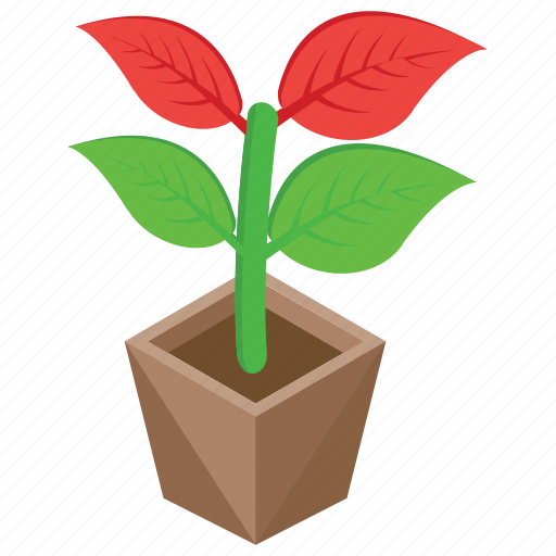 Flower, nature, outdoor plant, pot flower, pot plant icon - Download on Iconfinder