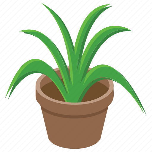 Botanical, home decoration, nature, outdoor plant, pot plant icon - Download on Iconfinder