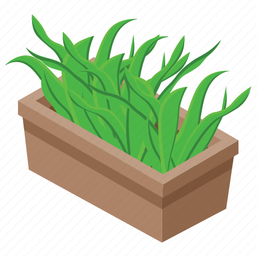 Aloe vera, ayurvedic, nature, plant, pot plant icon - Download on Iconfinder