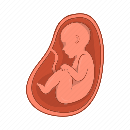 Baby, cartoon, embryo, pregnancy, pregnant, sign, stomach icon - Download  on Iconfinder