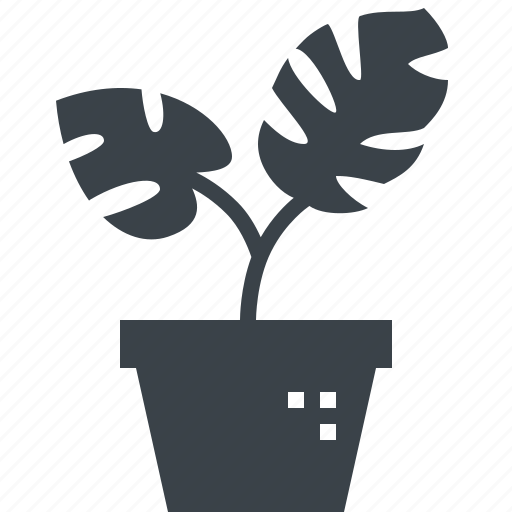Plant, monstera, pot, swiss, cheese, tree icon - Download on Iconfinder