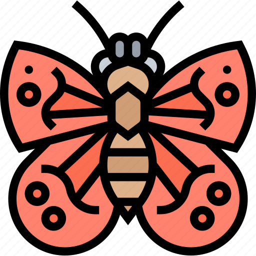 Admiral, butterfly, insect, garden, nature icon - Download on Iconfinder