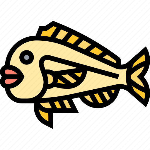 Australasian, snapper, fish, fishery, marine icon - Download on Iconfinder