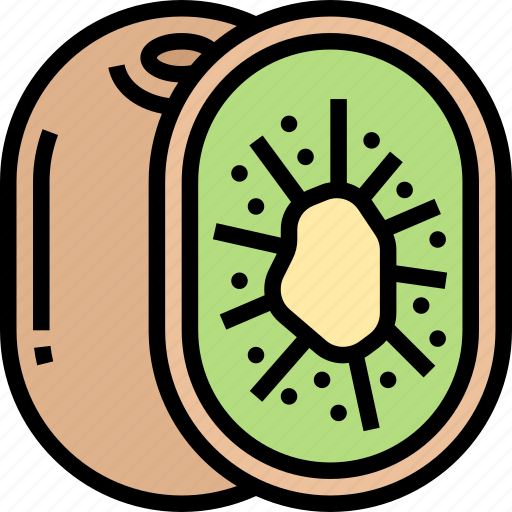 Kiwi, fruit, fresh, diet, nutrition icon - Download on Iconfinder