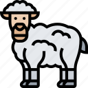 sheep, farm, animal, pasture, wool