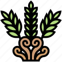 fern, plant, garden, botanical, nature
