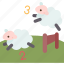 counting, sheep, sleep, insomnia, dreams 