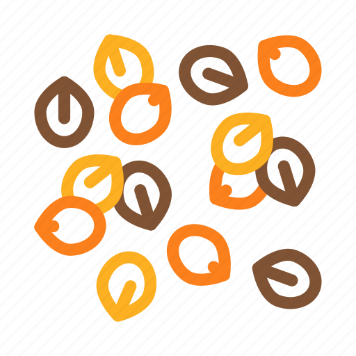 Almond, different, food, macadamia, nuts, peanut, seeds icon - Download on Iconfinder
