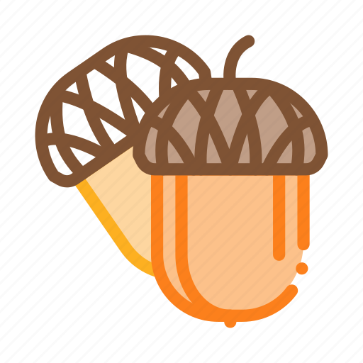Acorn, almond, different, food, macadamia, nut, peanut icon - Download on Iconfinder