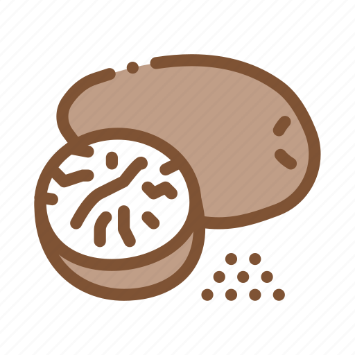 Almond, different, food, macadamia, nut, nutmeg, peanut icon - Download on Iconfinder