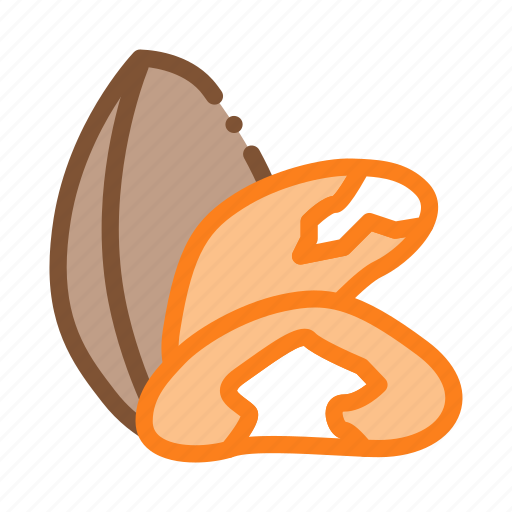 Brazil, chestnut, different, food, linear, nut, signs icon - Download on Iconfinder
