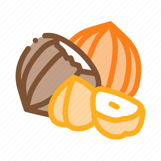 Chestnut, different, food, hazelnut, linear, nut, signs icon - Download on Iconfinder