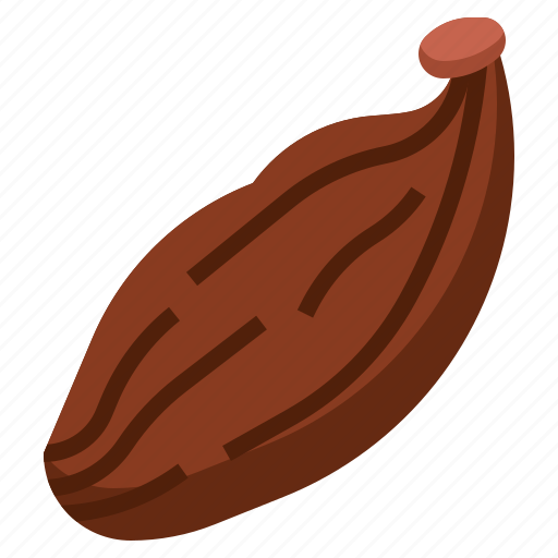 Cardamom, food, restaurant, seed, seeds, spice icon - Download on Iconfinder