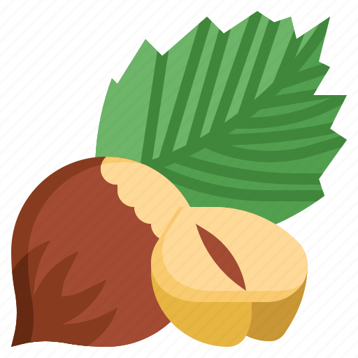 Hazelnut, seed, nuts, nut, organic icon - Download on Iconfinder