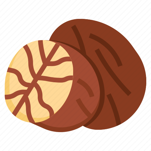 Nutmeg, spice, food, restaurant, asian, plant icon - Download on Iconfinder